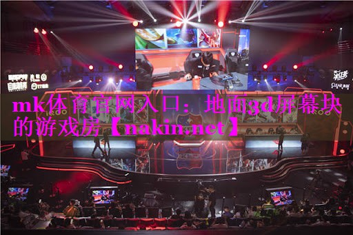 mk体育官网入口：地面3d屏幕块的游戏房