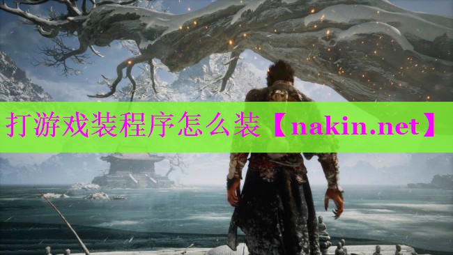 打游戏装程序怎么装