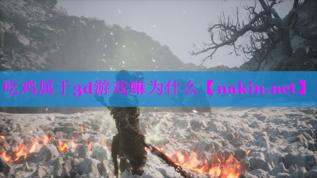 吃鸡属于3d游戏嘛为什么