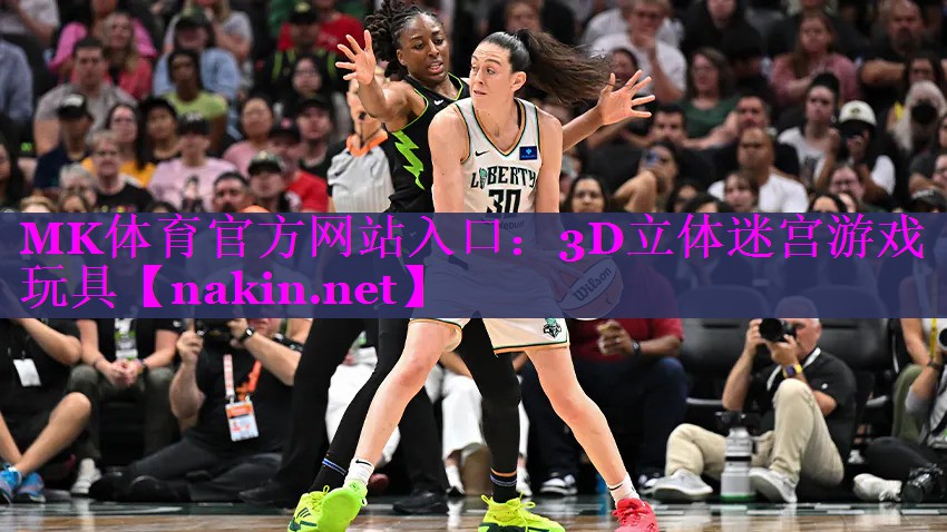 MK体育官方网站入口：3D立体迷宫游戏玩具