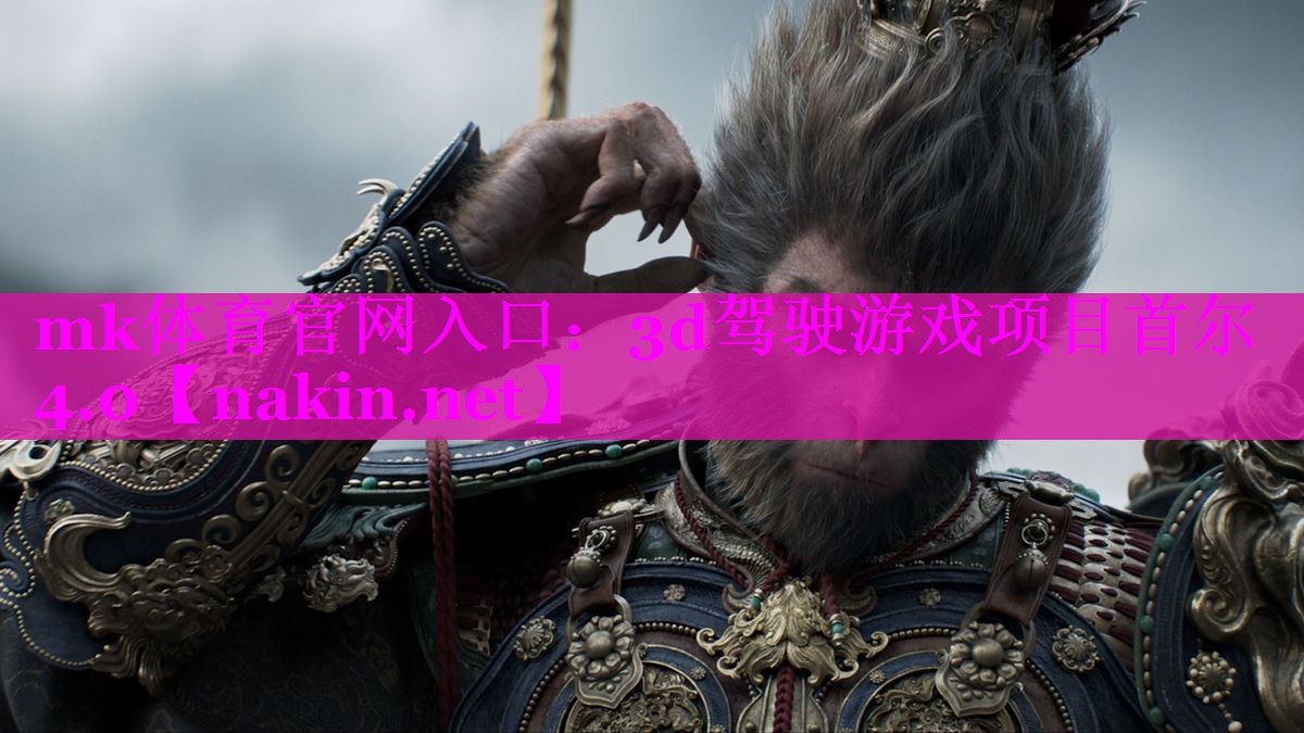 mk体育官网入口：3d驾驶游戏项目首尔4.0