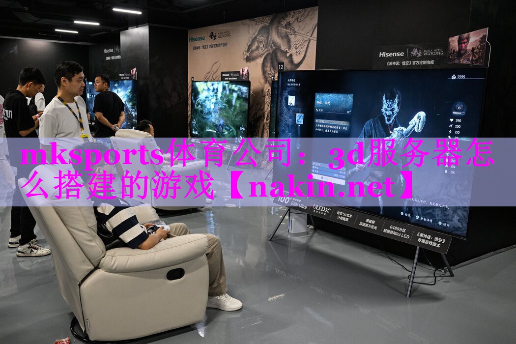 mksports体育公司：3d服务器怎么搭建的游戏