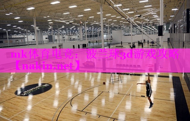 mk体育电竞：波兰球3d游戏攻略
