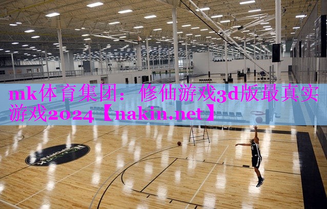 mk体育集团：修仙游戏3d版最真实游戏2024