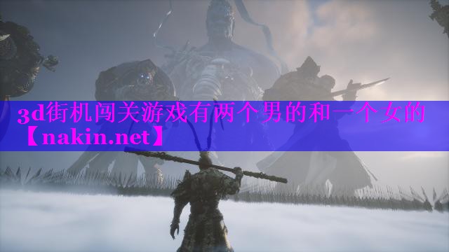 3d街机闯关游戏有两个男的和一个女的