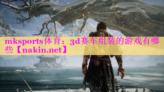 mksports体育：3d赛车组装的游戏有哪些