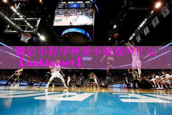 微信小程序种菜小游戏叫什么