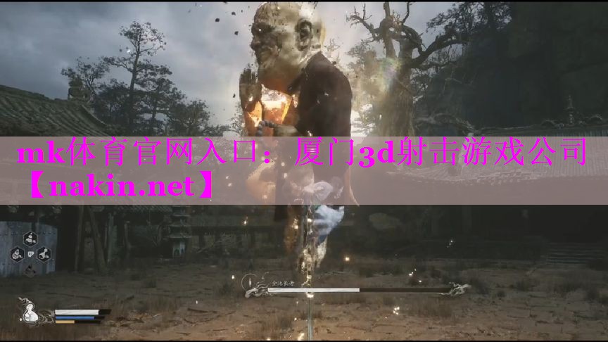 厦门3d射击游戏公司