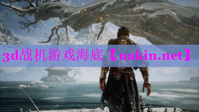 3d战机游戏海底