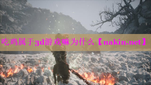吃鸡属于3d游戏嘛为什么