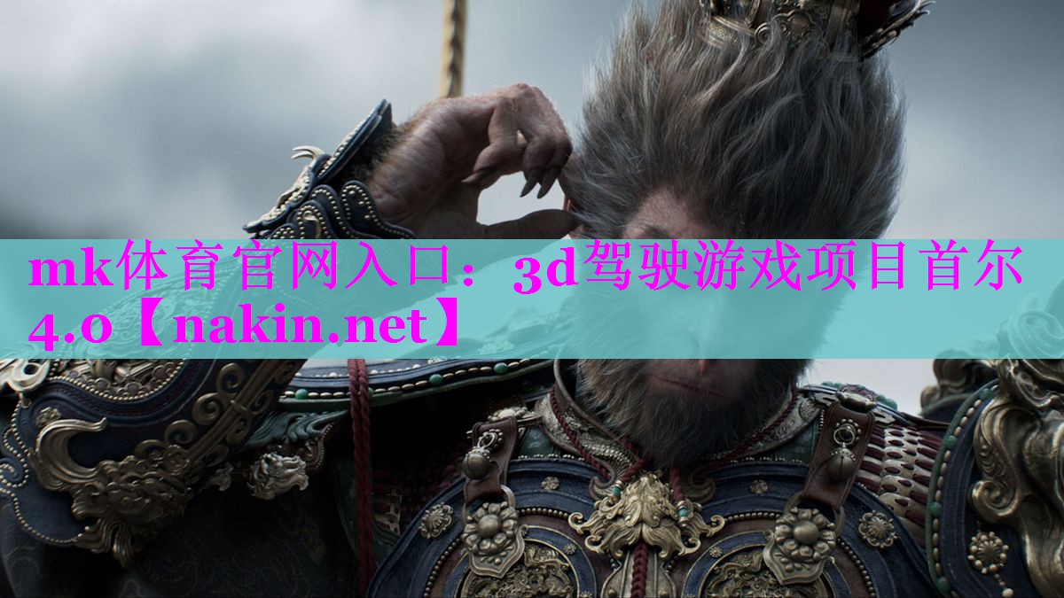 3d驾驶游戏项目首尔4.0