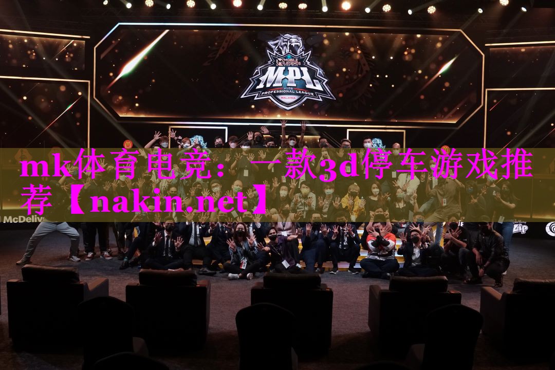 一款3d停车游戏推荐