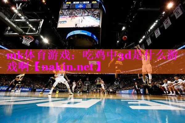 吃鸡中3d是什么游戏啊