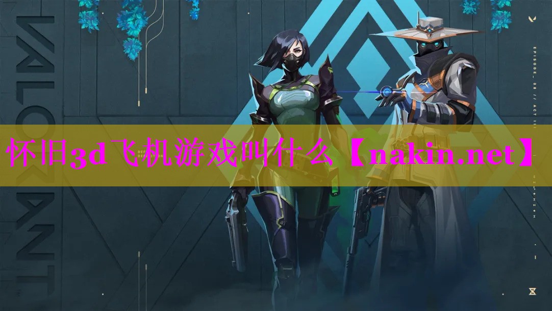 怀旧3d飞机游戏叫什么