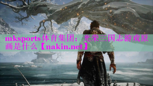 光荣三国志游戏原画是什么