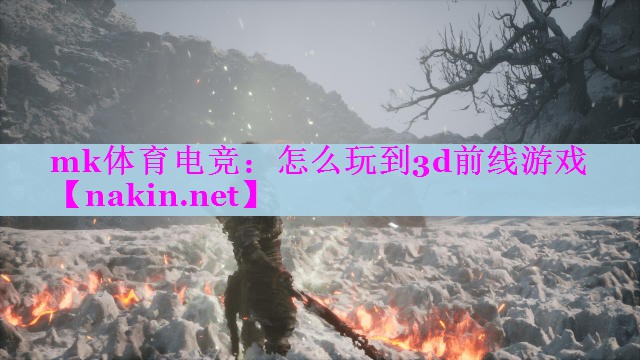 怎么玩到3d前线游戏