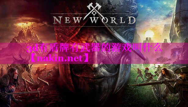 3d有盾牌有武器的游戏叫什么