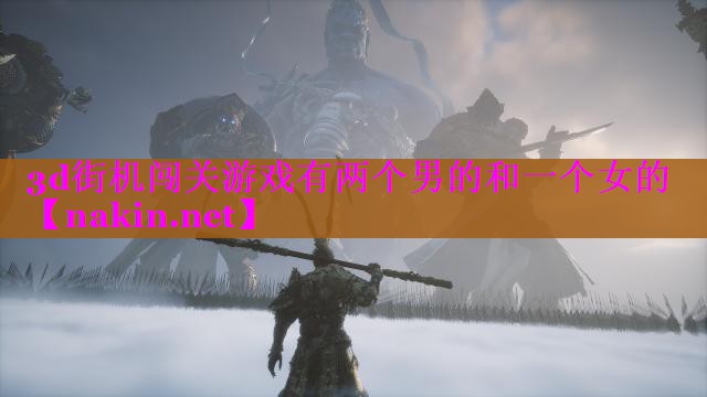 3d街机闯关游戏有两个男的和一个女的