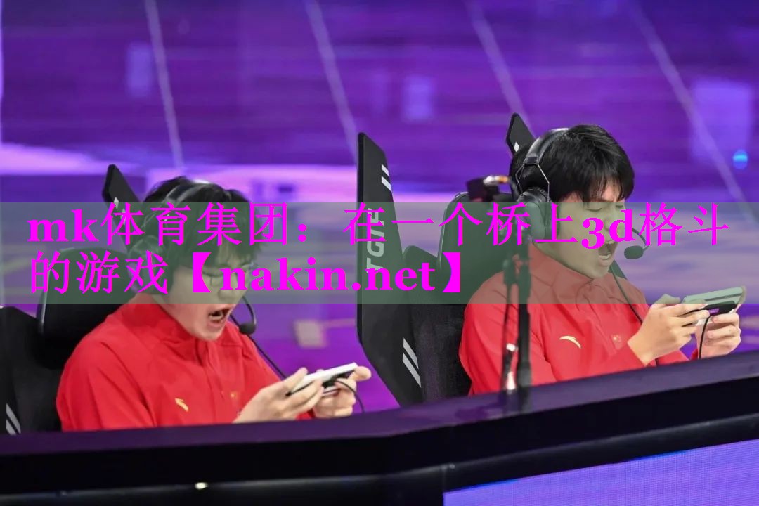 在一个桥上3d格斗的游戏