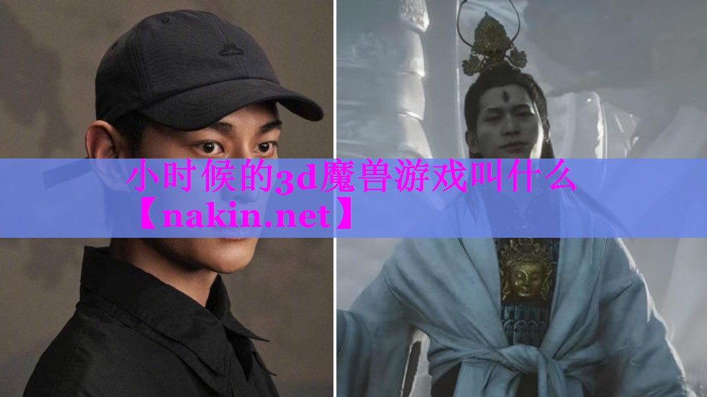 小时候的3d魔兽游戏叫什么