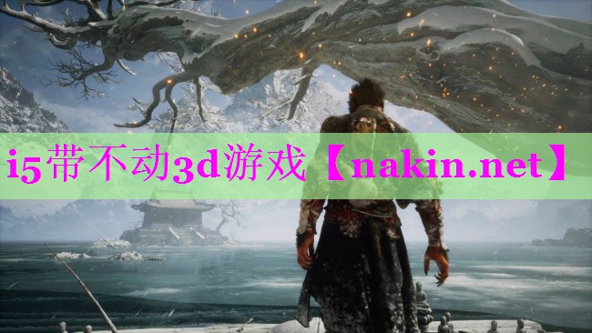 i5带不动3d游戏