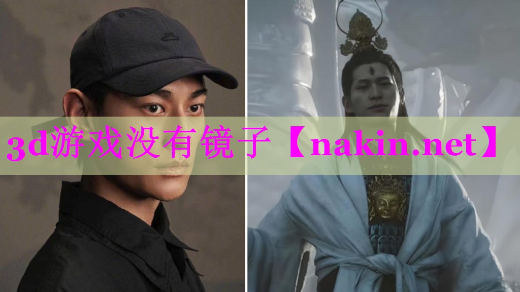 3d游戏没有镜子