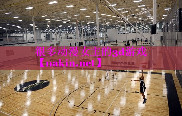 很多动漫女主的3d游戏