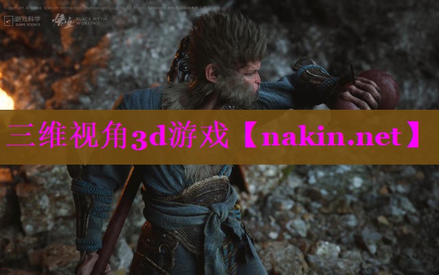 三维视角3d游戏