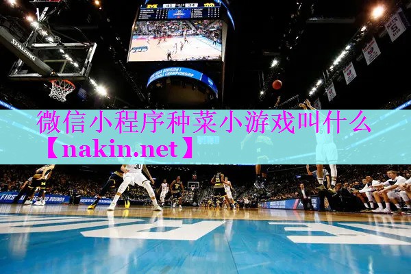 微信小程序种菜小游戏叫什么