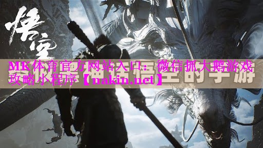 微信抓大鹅游戏攻略小程序