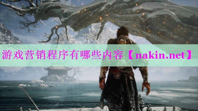 游戏营销程序有哪些内容